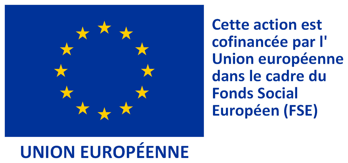 Logo FSE (Fonds Social Européen)