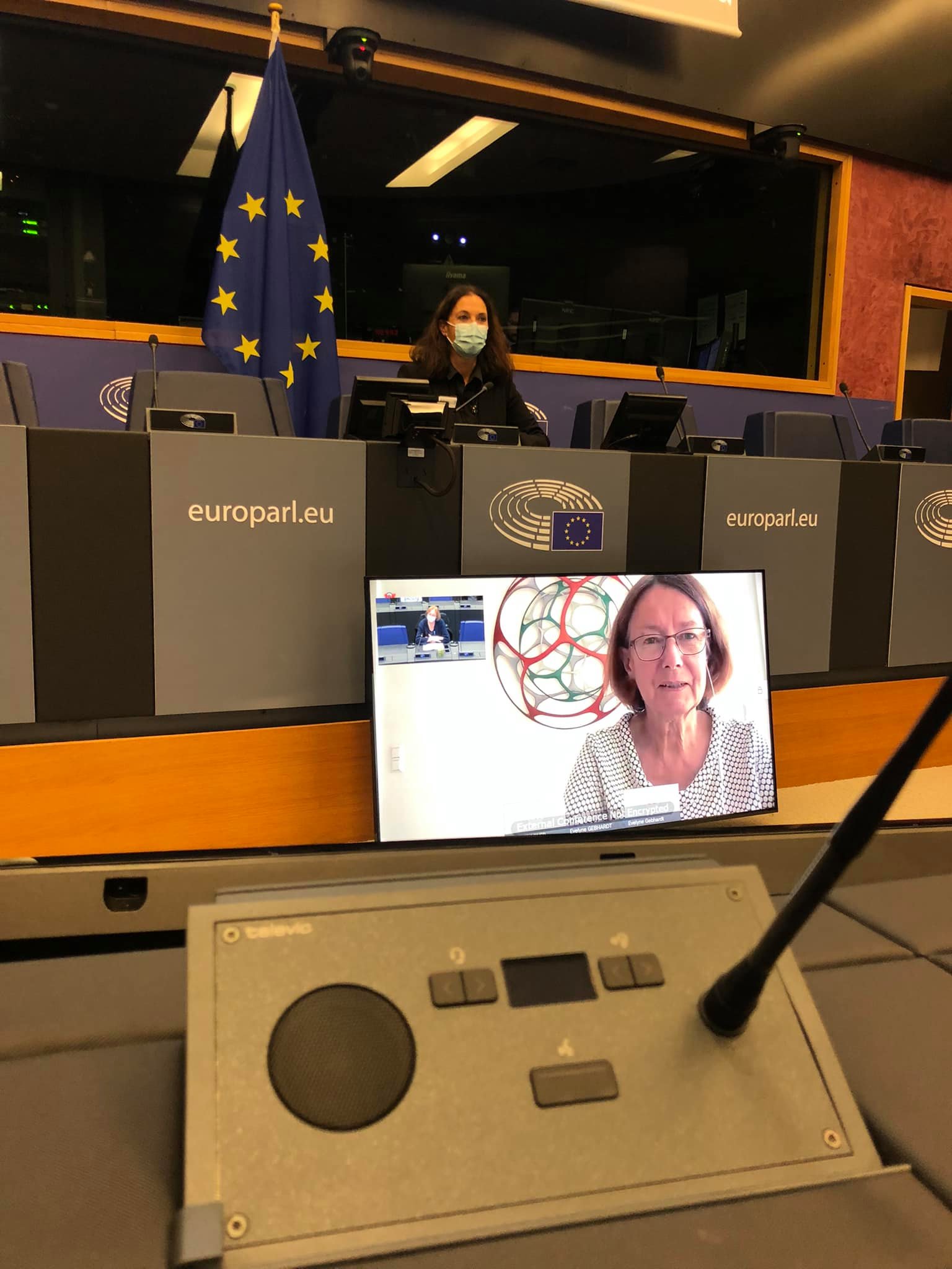 Visioconférence avec Evelyne Gebhardt, députée européenne en charge des familles monoparentales