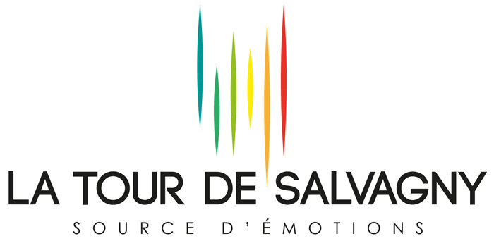 Logo mairie de la Tour de Salvagny